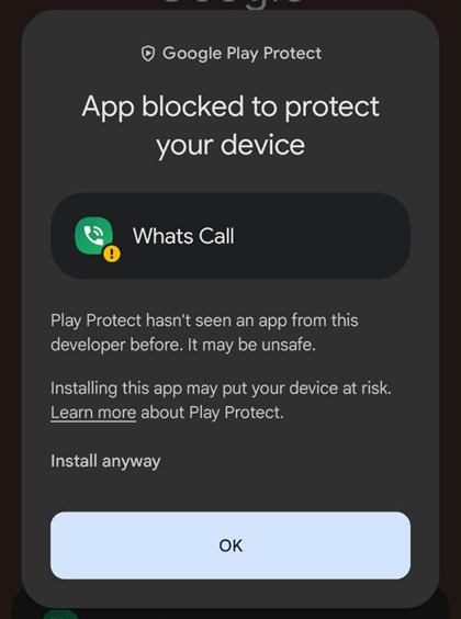 3) Then “Install anyway”
